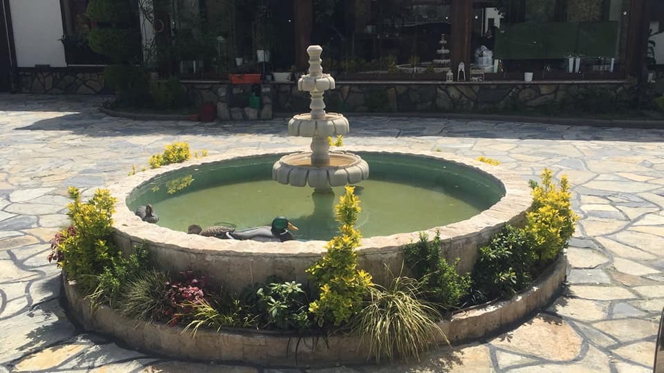 Balık ve Süs Havuzları